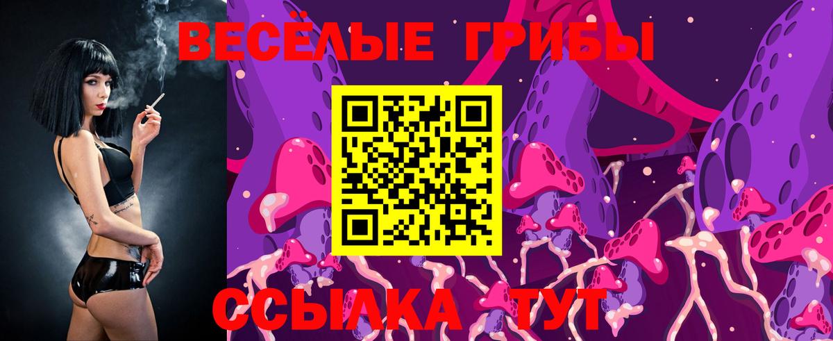 Псилоцибиновые грибы мухоморы  Вход с VPN  Галлюциногенные грибы прущие грибы  Черкесск 